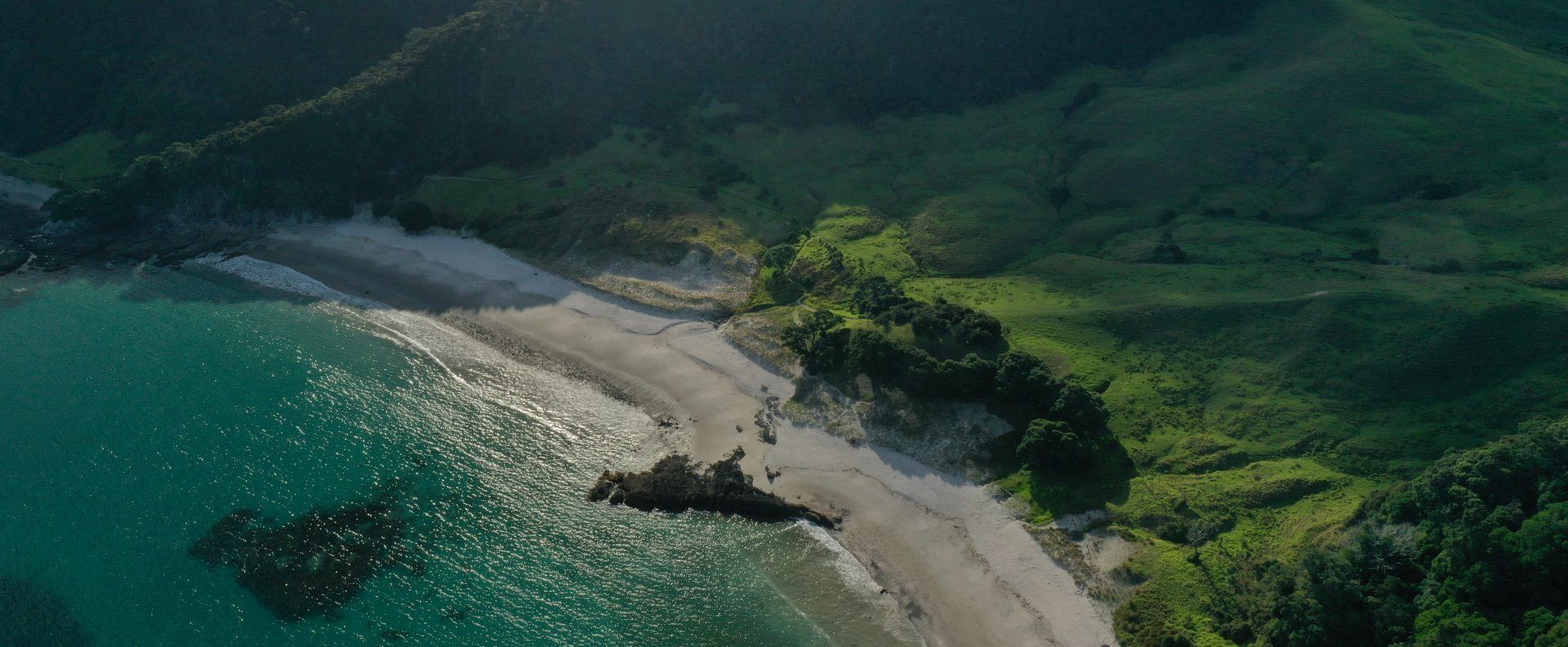 Drone shot from above Manaia